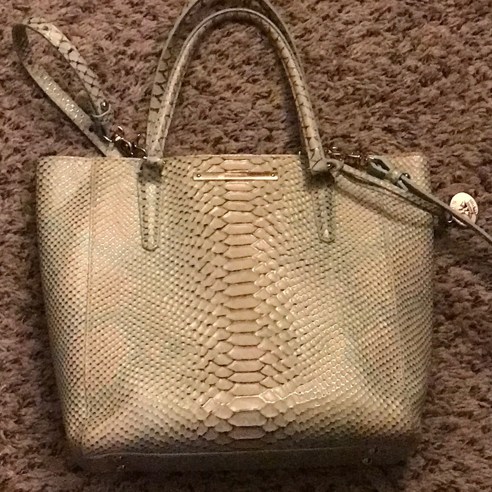 Cute Brahmin Bag